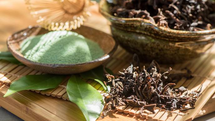 How Adding Green Tea Extract to Prepared Foods May Reduce the Risk for Norovirus