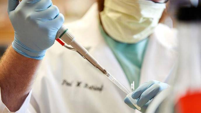 Lab-Made Virus Mimics COVID-19 Virus