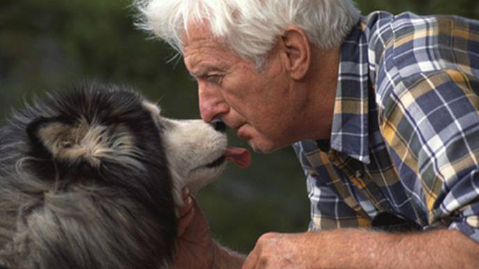 How Pets Can Be True Lifesavers for Seniors