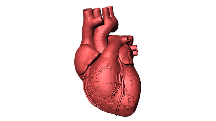 ReachMD Healthcare Image