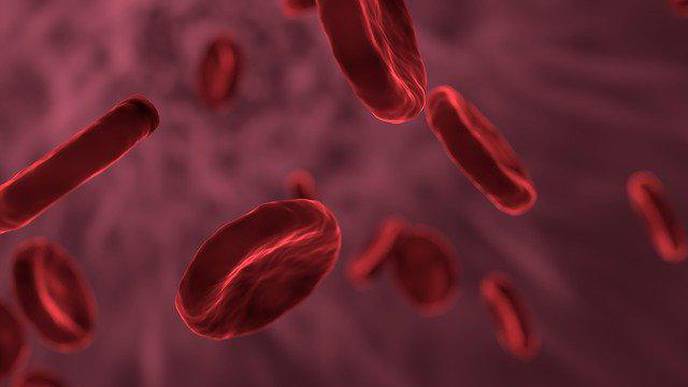 Alzheimer’s: Copper Transport in Blood Provides Fresh Clues