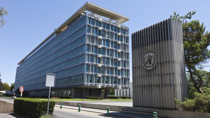 US to Halt Funding to the World Health Organization