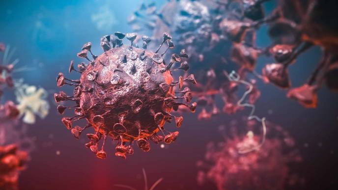 ReachMD Healthcare Image