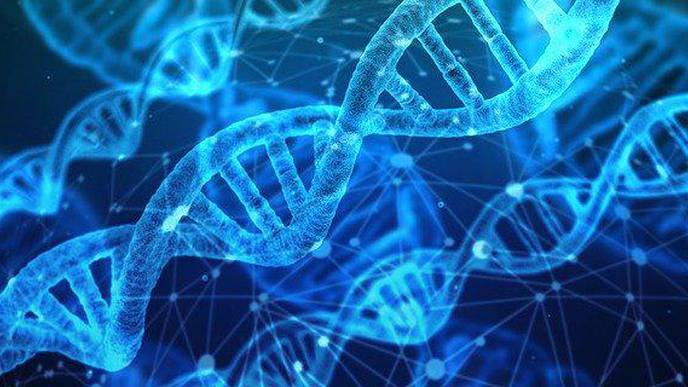 Nox4 Protein Can Be Used as a Marker to Predict Untreatable Kidney Cancer