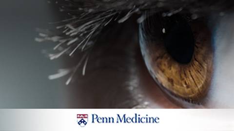 Curing Blindness: How Researchers are Utilizing Gene Therapy
